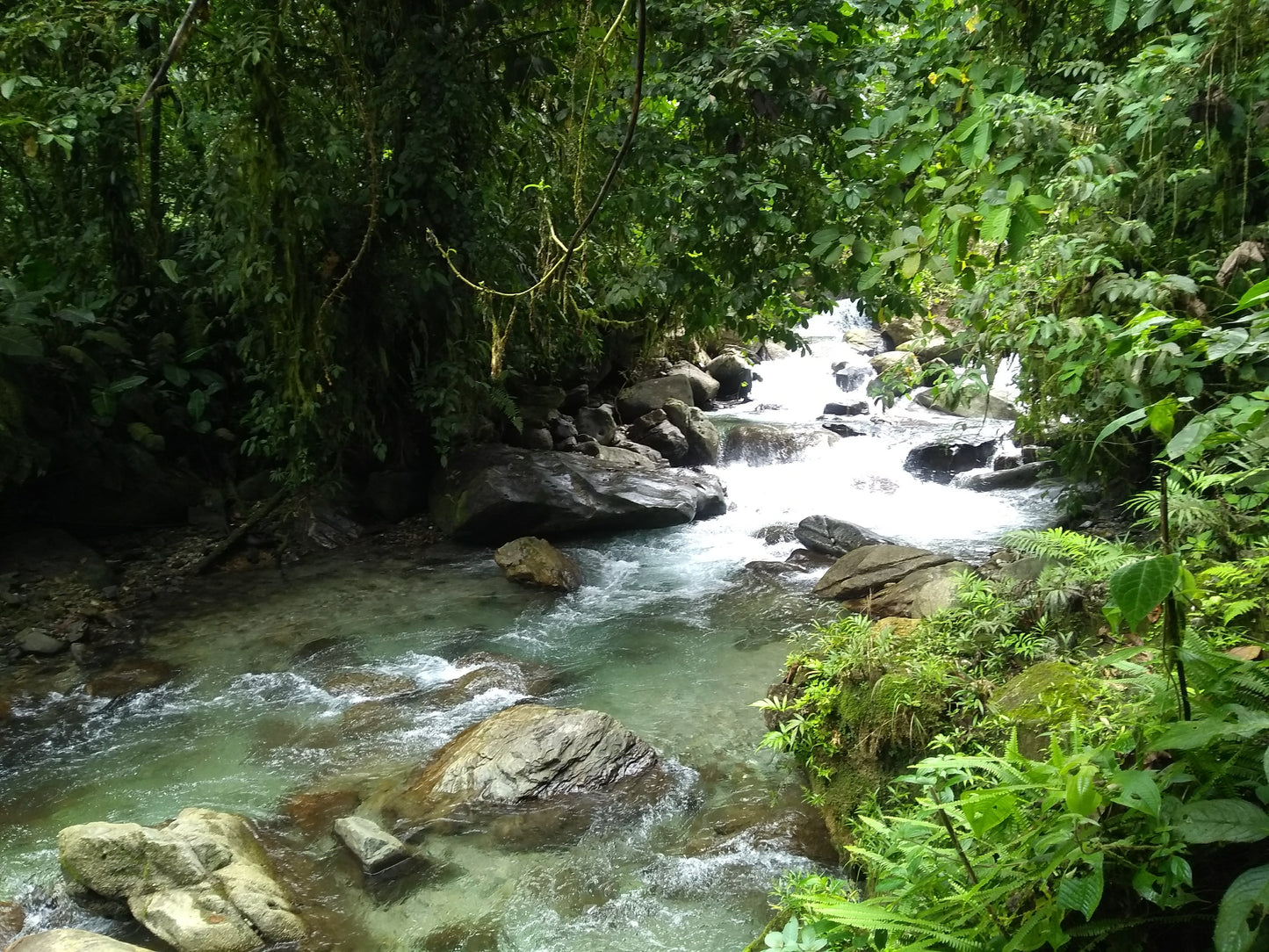 Tour a El Danubio – Oasis de la Sirena