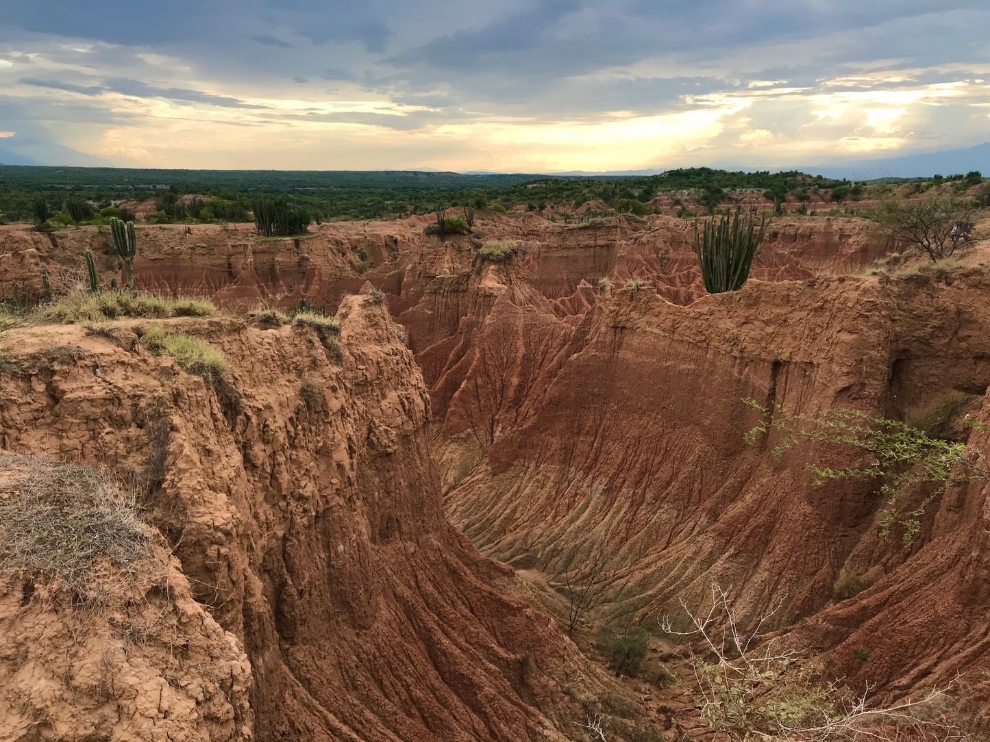 Desierto de la Tatacoa y Paicol