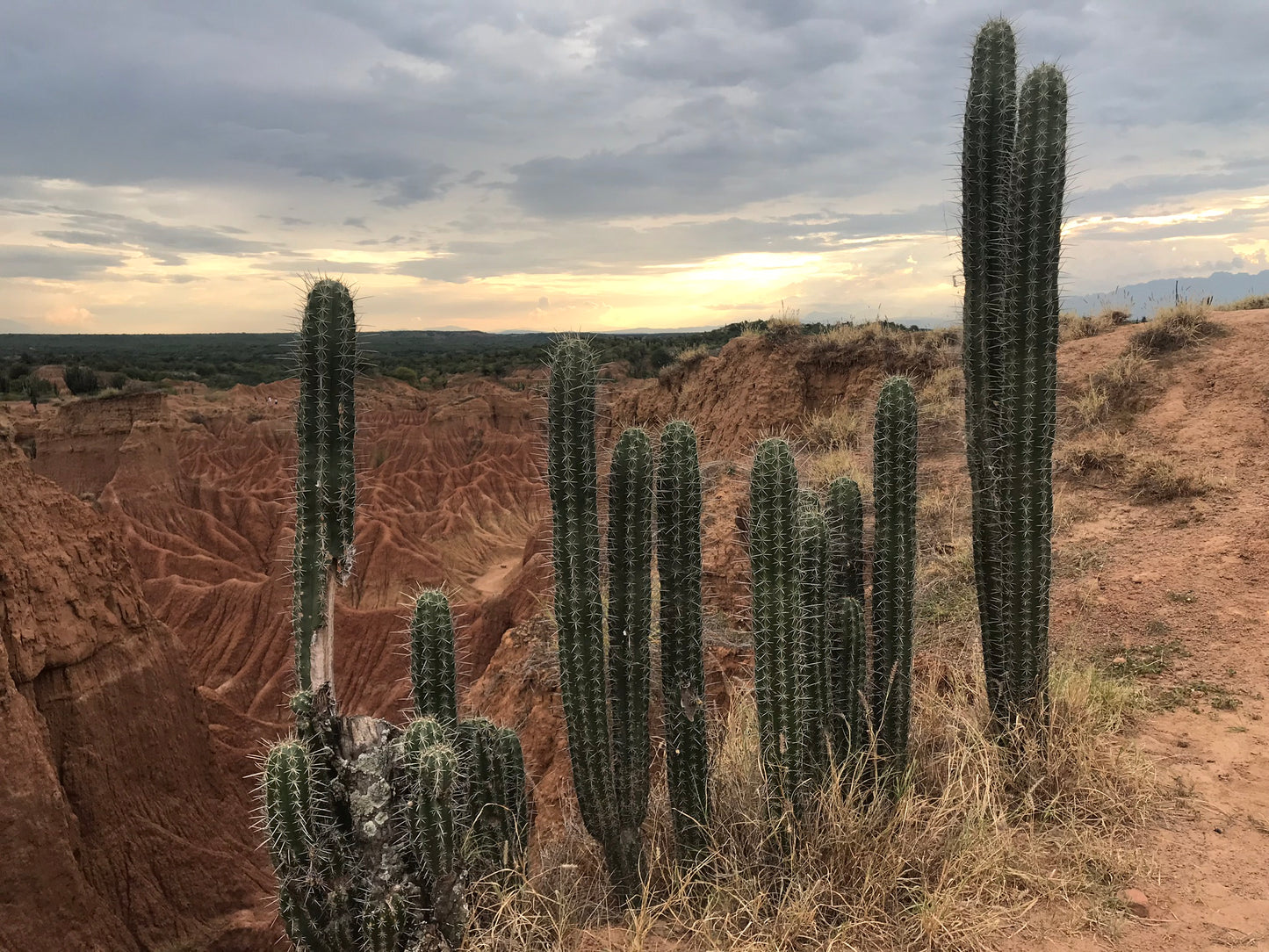 Desierto de la Tatacoa y Paicol